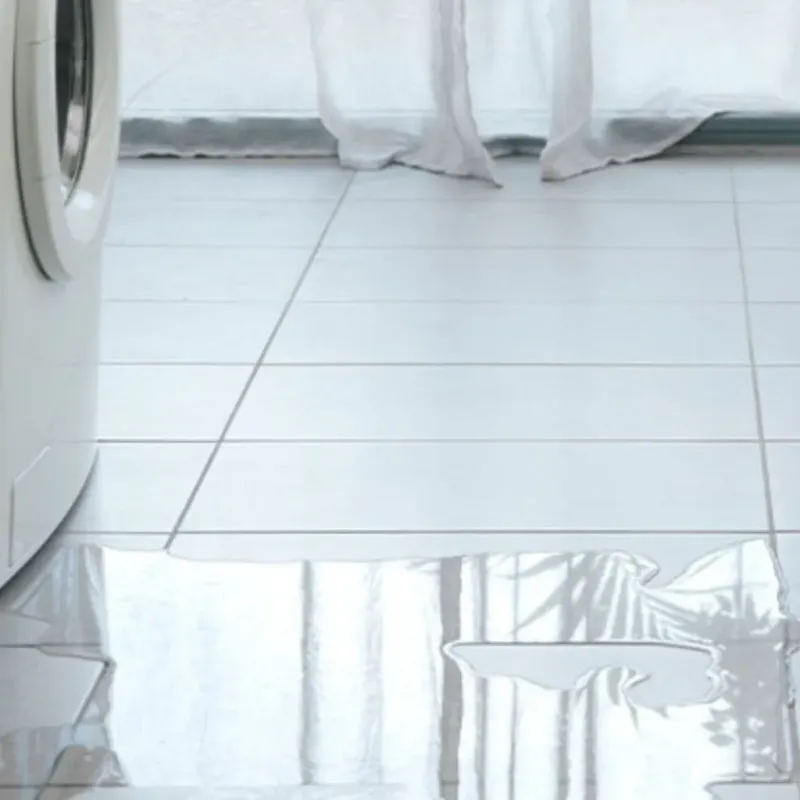 Appliance Leak Cleanup in Bacon County, GA