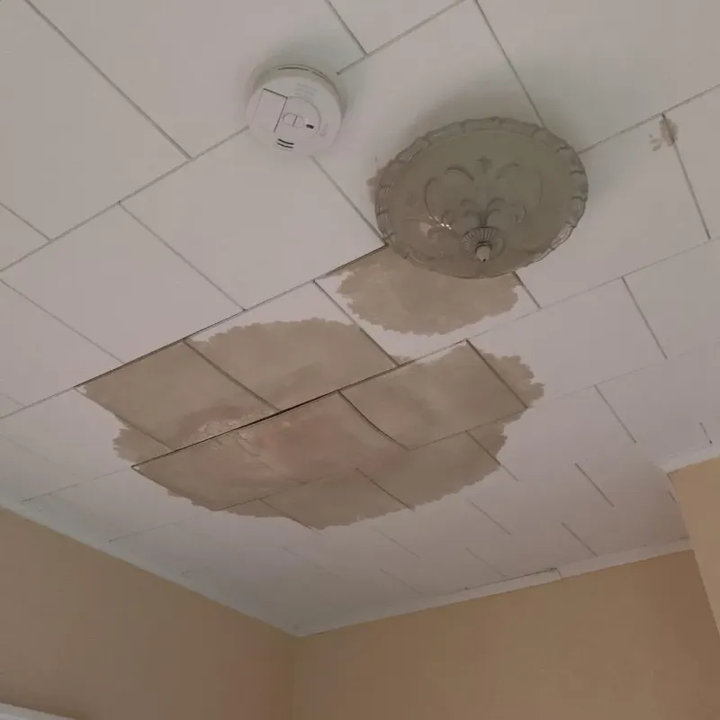 Ceiling Water Damage Repair in Bacon County, GA