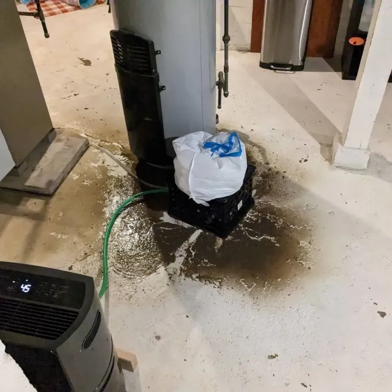 Sewage Backup Cleanup Service in Bacon County, GA